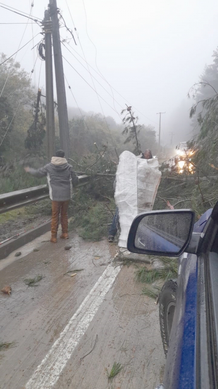 Cauquenes: Corte de luz y de Ruta M-50 generó frente de lluvias y vientos_