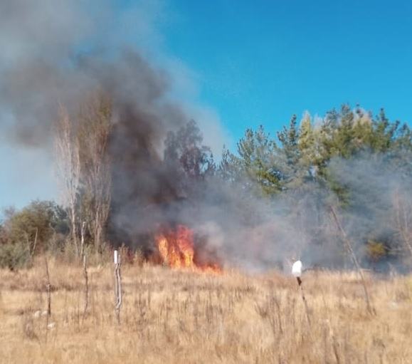 LINARES: AMPLIO DESPLIEGUE DE EMERGENCIA POR INCENDIO FORESTAL EN  LLANCANAO