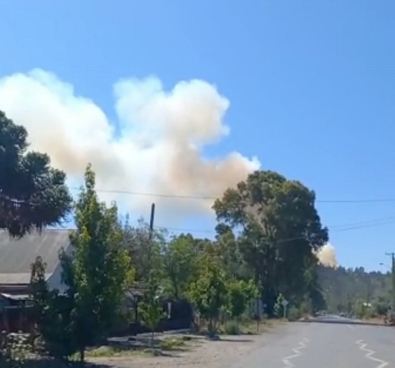 Villa Alegre: Amplio despliegue de Bomberos y CONAF para controlar incendio forestal en cerro Putagán