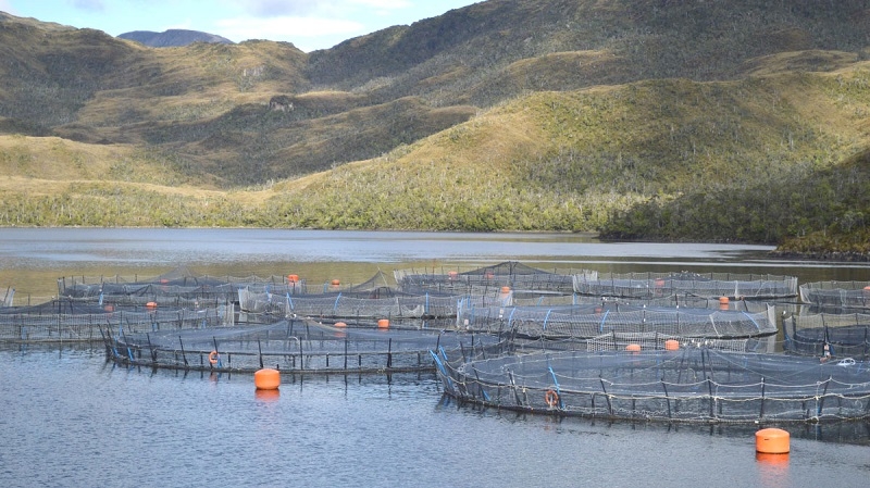 Un tanque de oxígeno para Nova Austral: Se aprueba su reorganización y propiedad se traspasa a los acreedores