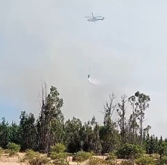 SENAPRED monitorea Alerta Amarilla para la comuna de Cauquenes por incendio forestal