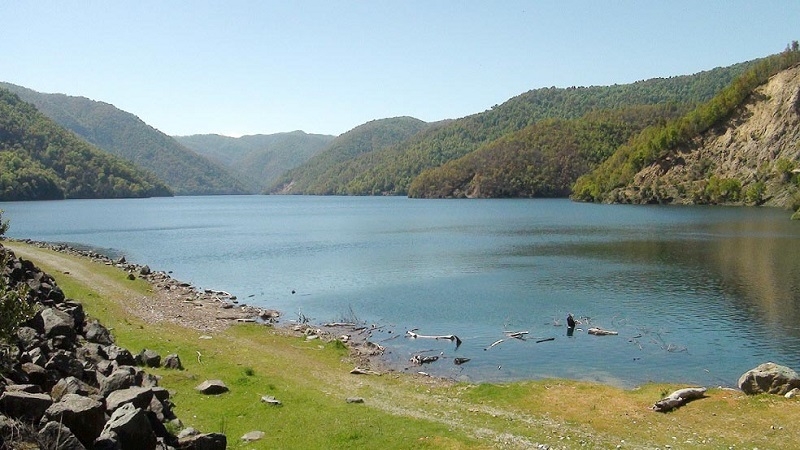 Nuevo Código de Aguas obliga a regantes a adecuarse a procedimientos y plazos