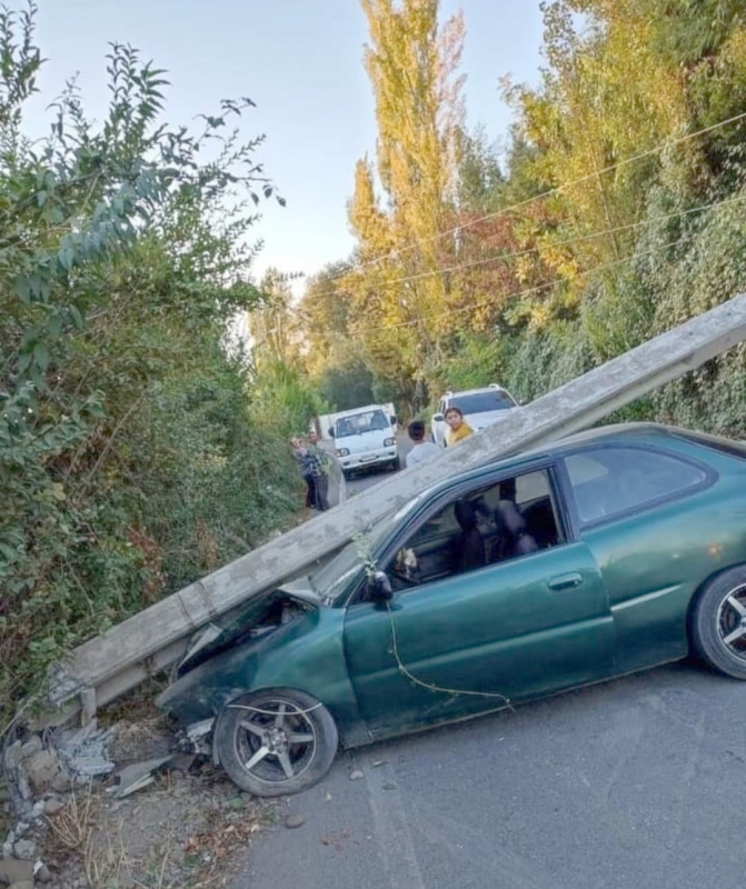 Linares: Choque de vehículo contra árbol deja un lesionado