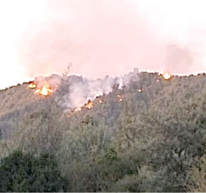 Linares:  incendio forestal en área apartada del Polígono General Bari