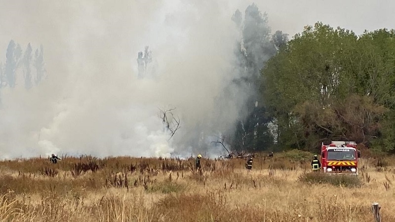 Amplio despliegue de bomberos por incendio de pastizales en Linares