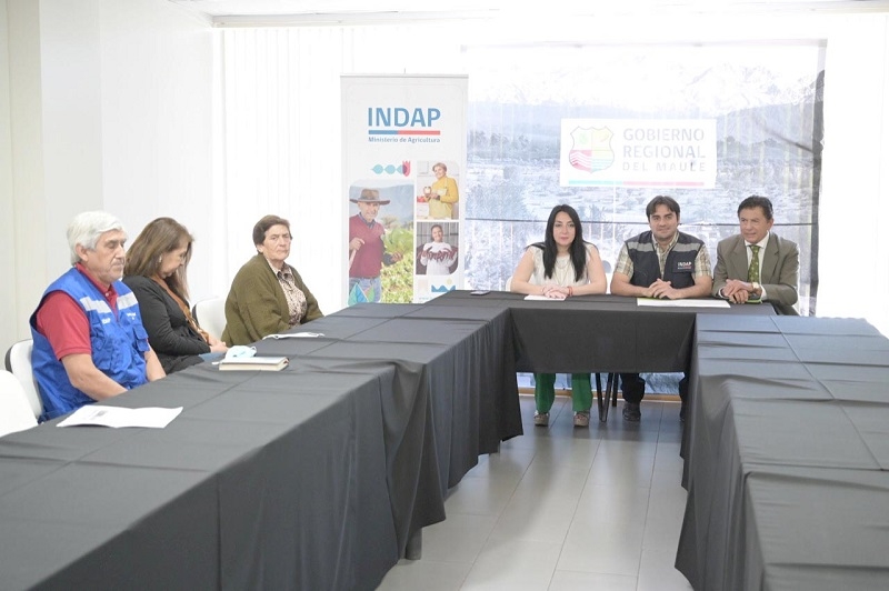 Gobierno Regional del Maule e Indap llaman a postular al bono para alimentación ganadera y apícola