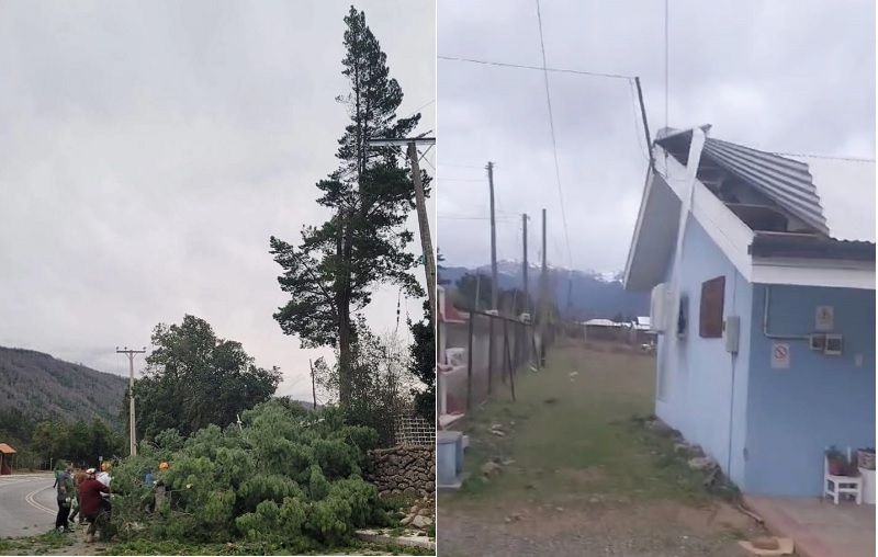 Linares: cortes de luz, voladura de techumbres y caída de árboles en el balance tras temporal