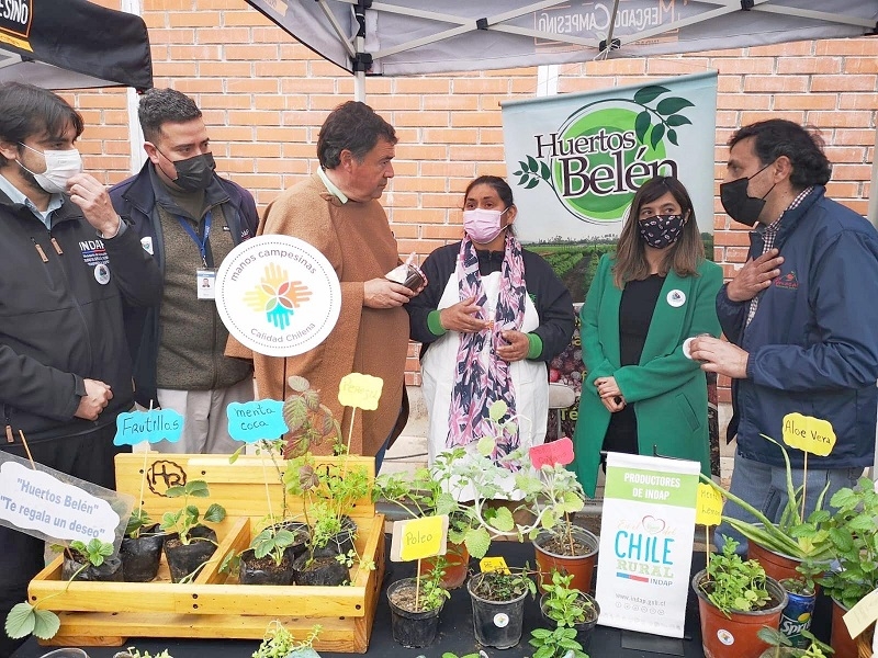 Ministro de Agricultura encabezó encuentro con campesinas y campesinos del Maule en conmemoración de su día