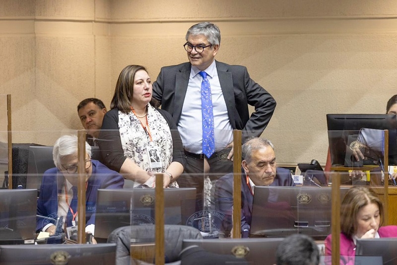 Senadora Vodanovic (PS) destacó la aprobación del Proyecto de Ley Anti-Elusión