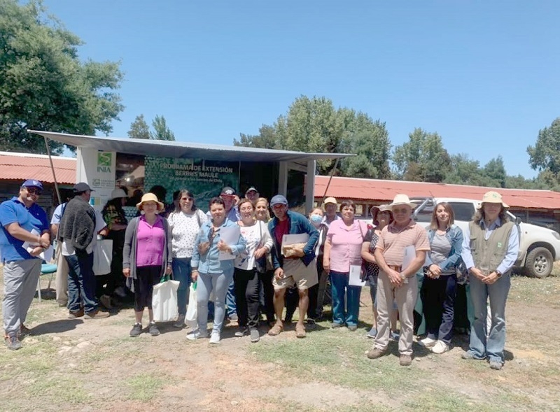 Más de 100 maulinos asistieron al primer día de campo con enfoque agroecológico de INIA Raihuén