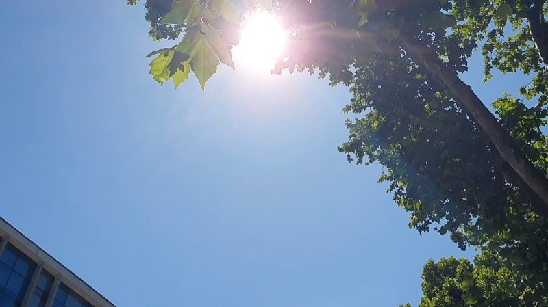 Vigente alerta meteorológica por ola de calor en Maule y Ñuble