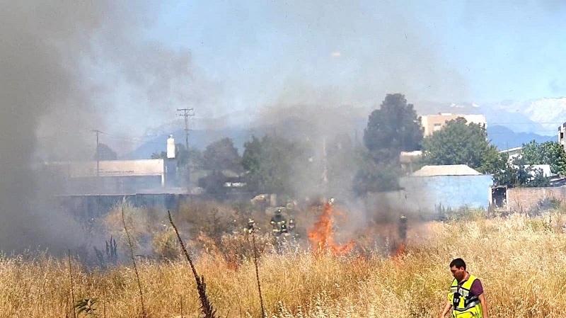 Refuerzan llamado a la prevención de incendios forestales en el Maule