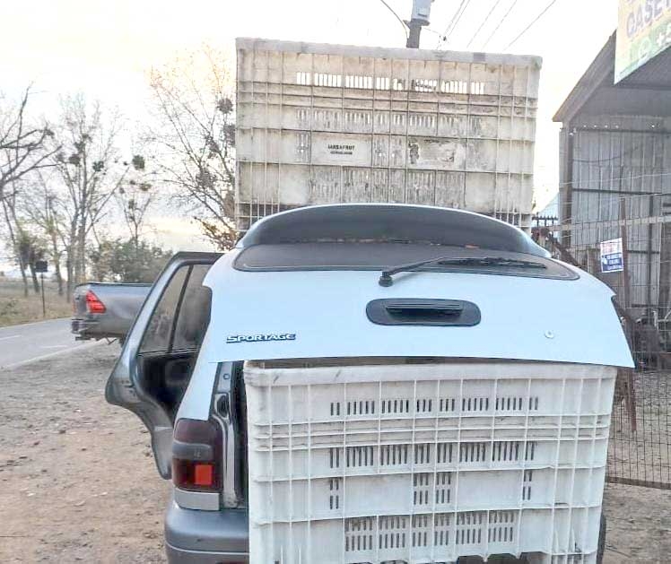 Carabineros detuvo a 4 personas por robo en lugar no habitado en Pelarco