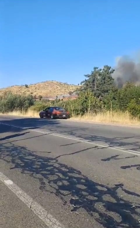 Yerbas Buenas: incendios de pastizales movilizaron a Bomberos y CONAF