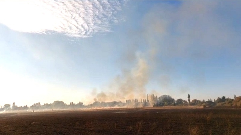 Linares: Incendio de pastizales movilizó a bomberos para controlar emergencia