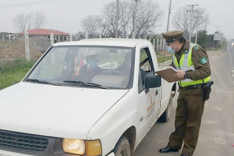 Parral: Carabineros hace un llamado a proteger sus animales y evitar el delito de abigeato