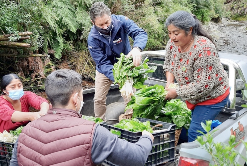 Agricultores de Quellón venden toda su producción tras firmar acuerdo de proveedores locales