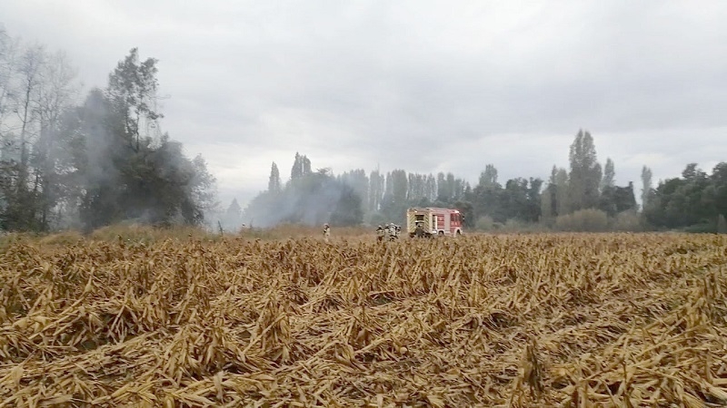 LONGAVÍ: 6 HECTÁREAS AFECTADAS POR INCENDIO FORESTAL