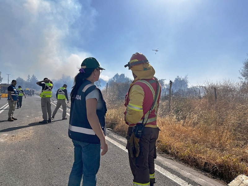 Linares: amplio despliegue por incendio forestal en Salida Cuéllar-La Isla