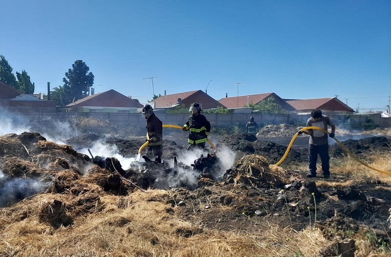 Linares: Incendio de pastizal en radio urbano movilizó a bomberos