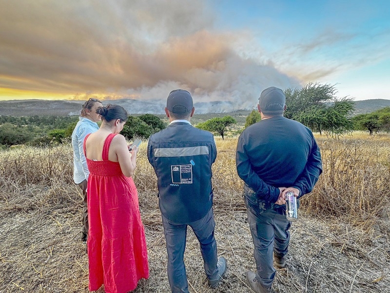 SENAPRED entrega monitoreo de Alerta Amarilla para la comuna de Cauquenes por incendio forestal