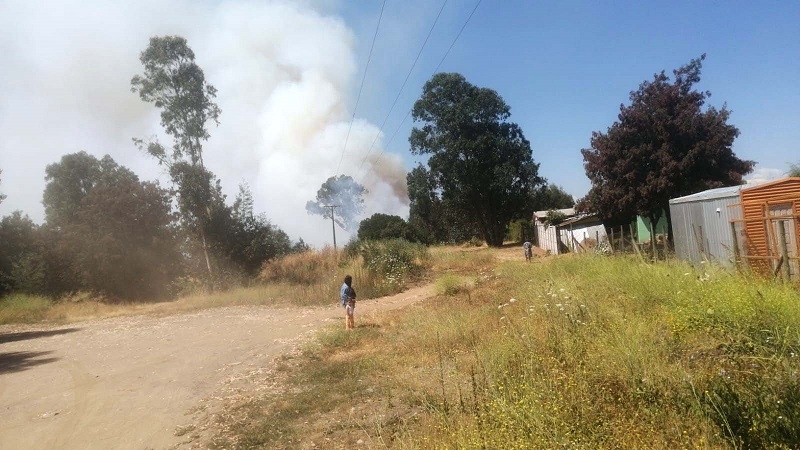 CONAF y Minagri realizaron balance de la situación de incendios forestales