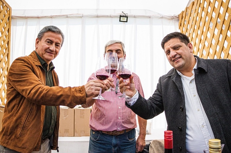 Doce viñas sanjavierinas dieron vida a la primera Fiesta del Vino de Loncomilla 