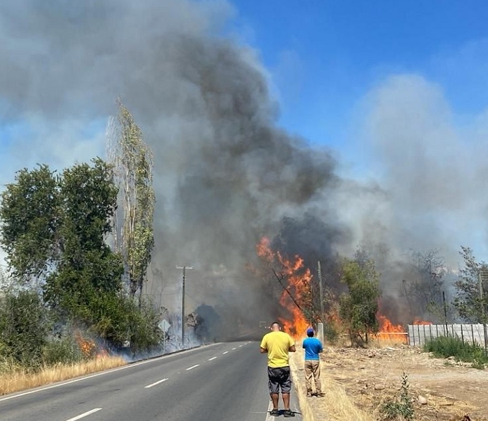 Linares Por incendio de pastizales en Llancanao Prisión preventiva para imputado formalizado   