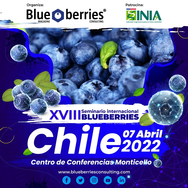 INIA confirma la participación de Directora Nacional en la inauguración del  XVIII Seminario Internacional Blueberries Chile 2022  