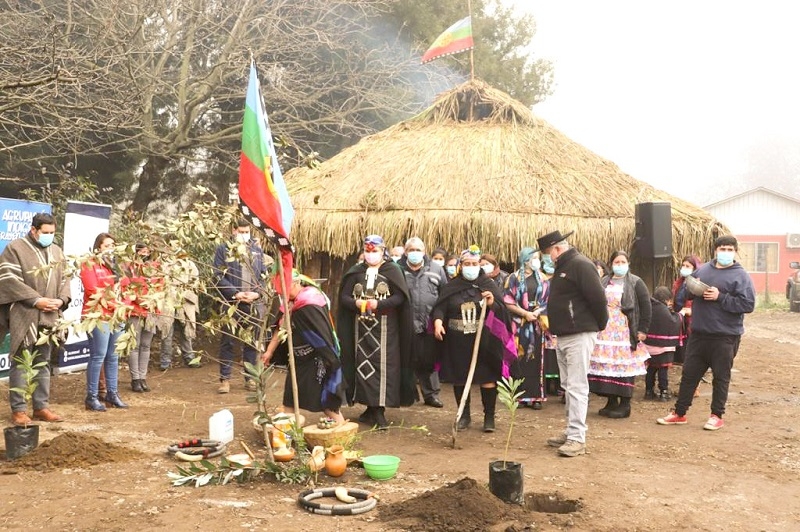 Inauguran Ruca Mapuche en Longaví