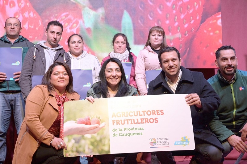 244 productores frutilleros no Indap recibieron recursos para dar impulso al sector afectado por el nematodo de la fruta