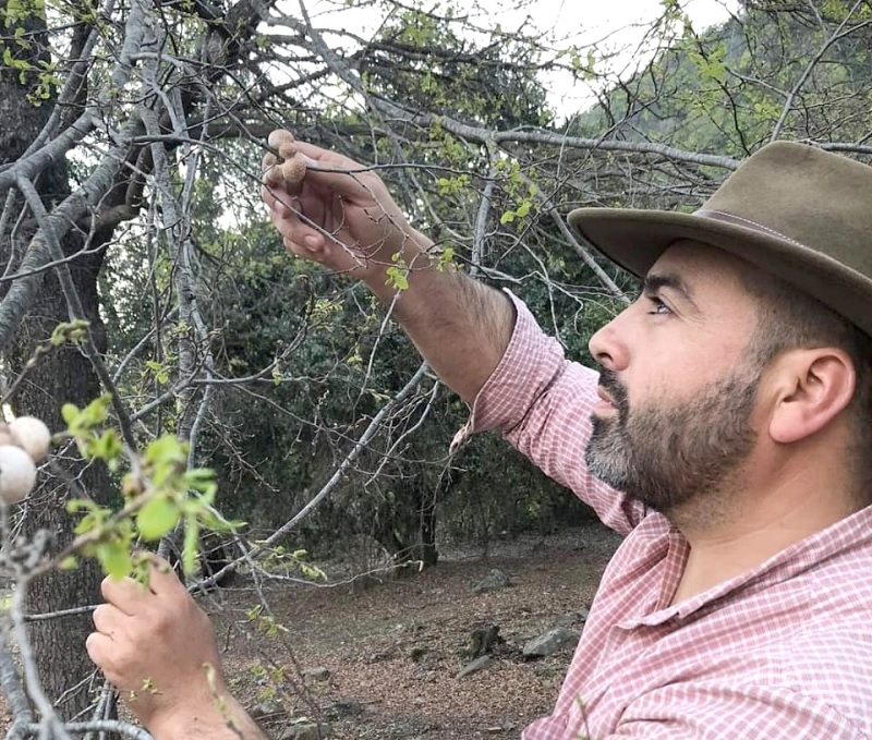 Ex concejal Eduardo Ibáñez: “Es importante mantener la identidad del digüeñe en esta zona”