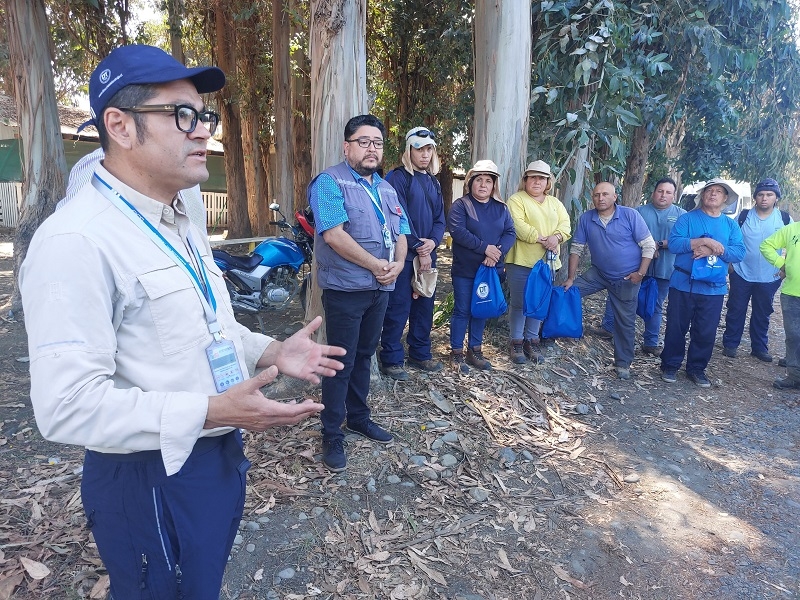 Autoridades entregaron kits de protección a trabajadores agrícolas en Linares