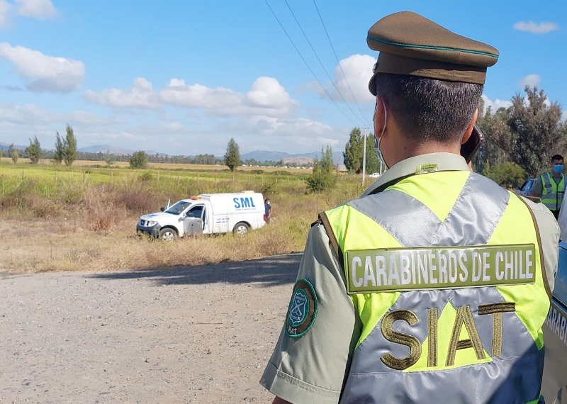 Linares: Fatal atropello camino a Palmilla