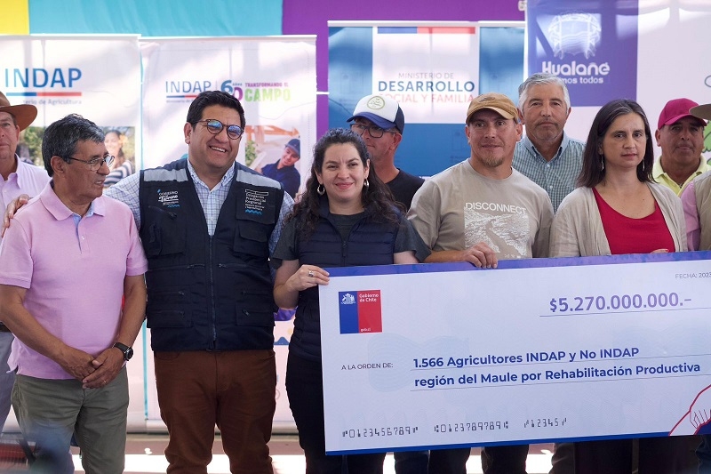 Más de 1500 agricultores del Maule recibieron bonos de rehabilitación productiva por emergencia