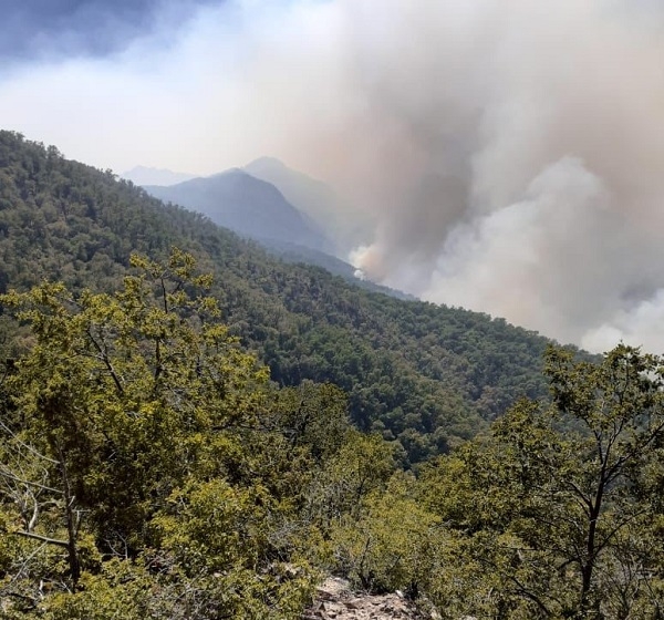 Alcalde Longaví: “Incendio se acerca a viviendas y necesitamos ayuda urgente”