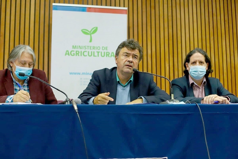 INDAP: Actor clave en plan de apoyo a pequeños productores anunciado por el Ministerio de Agricultura