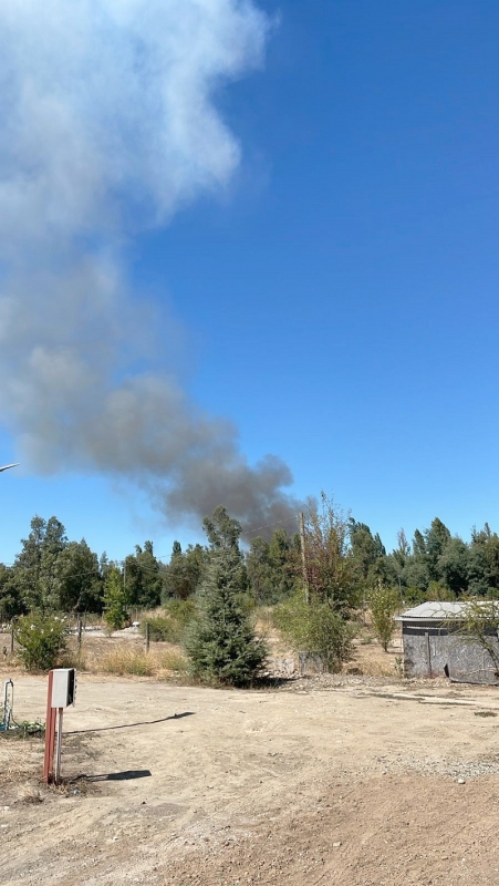  Incendio forestal movilizó a Bomberos hasta el sector Huapi de Linares