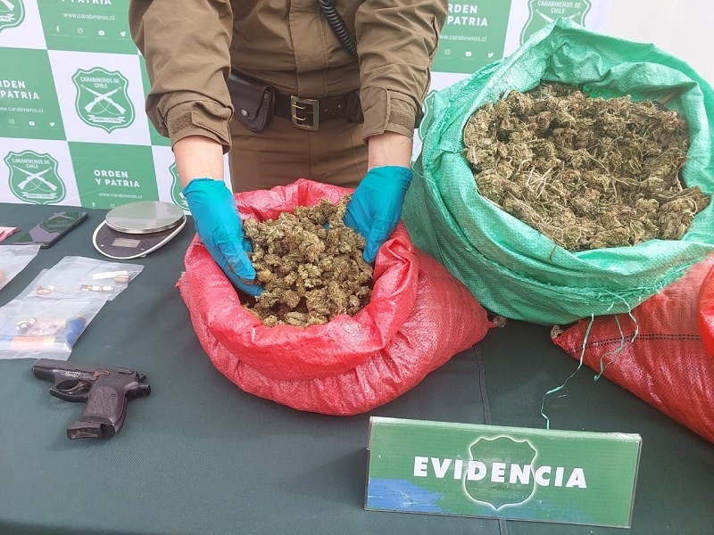   Prisión para narcotraficantes sorprendidos con más de 120 kilos de marihuana en comuna de San Clemente