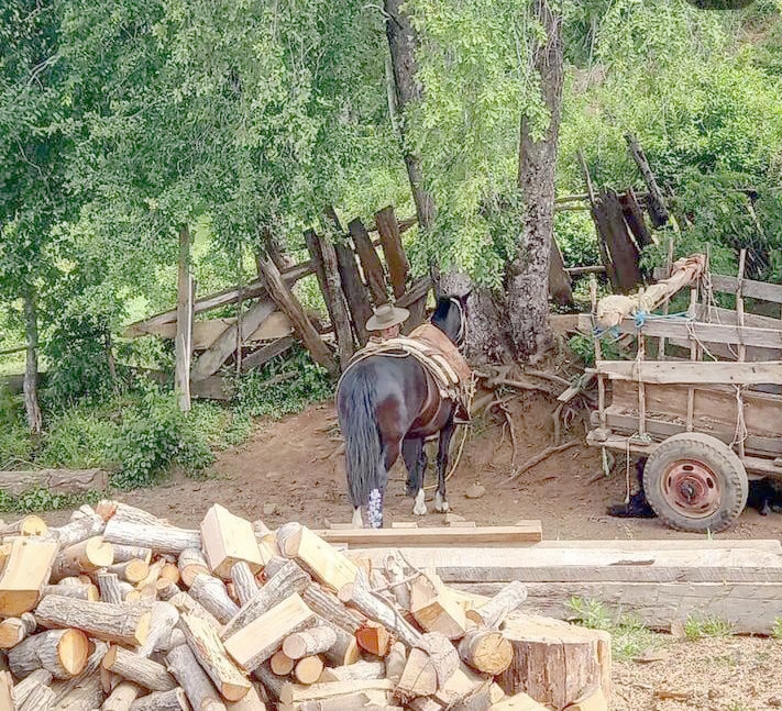 Prodesal de Longaví prepara celebración del Día del Campesino