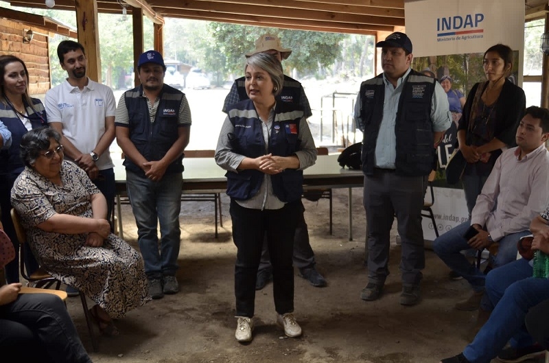 A través de recursos Indap: Agricultores afectados por incendios forestales reciben ayuda del Gobierno