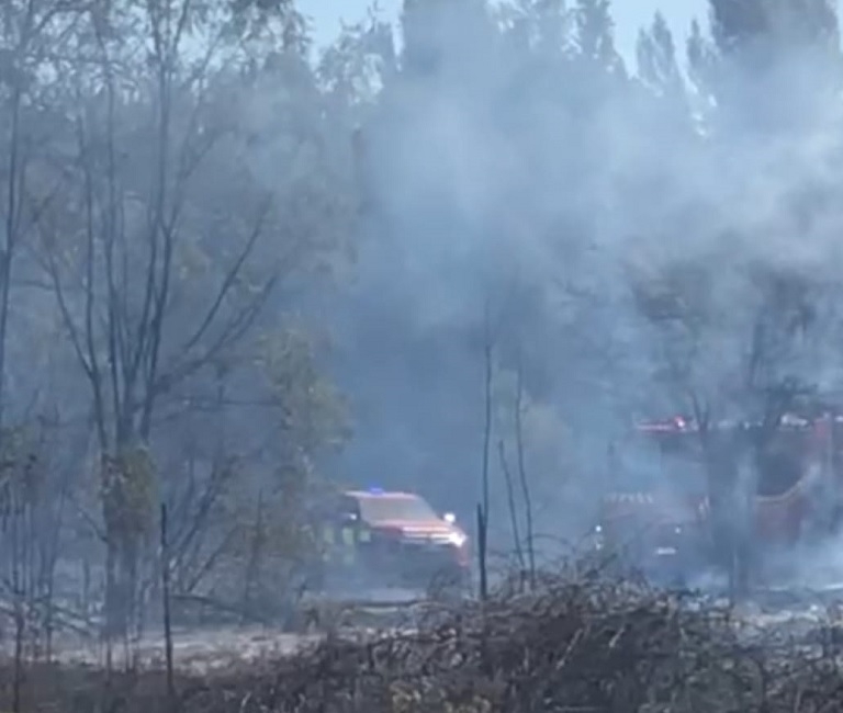 Linares: Incendio forestal movilizó amplio despliegue de bomberos en Vara Gruesa y Llancanao