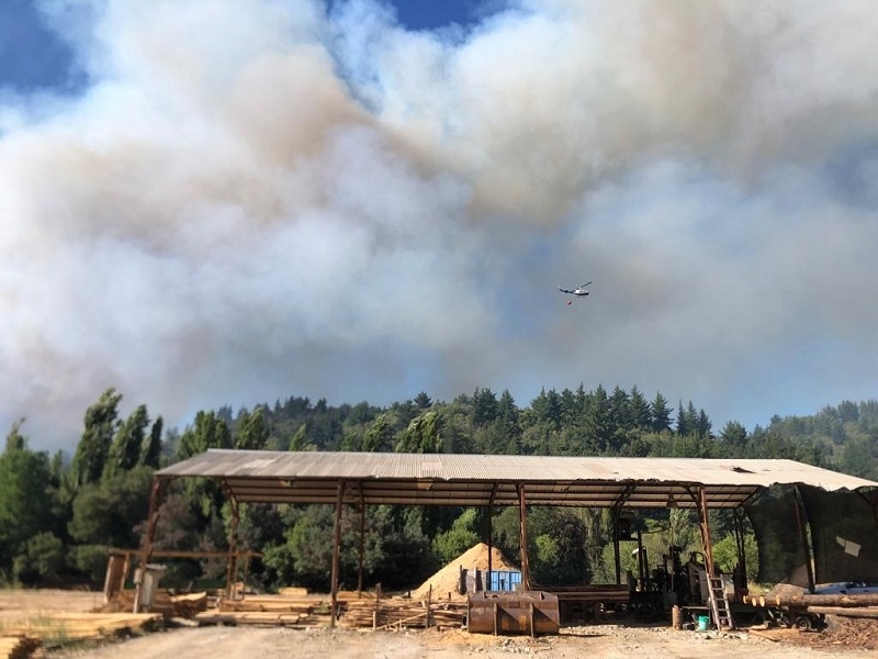 Incendios Forestales: se mantenía labor de combate en región del Maule