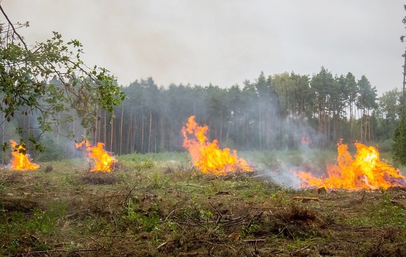 Yerbas Buenas: Agricultor es formalizado por encender fuego en plena prohibición por incendios forestales