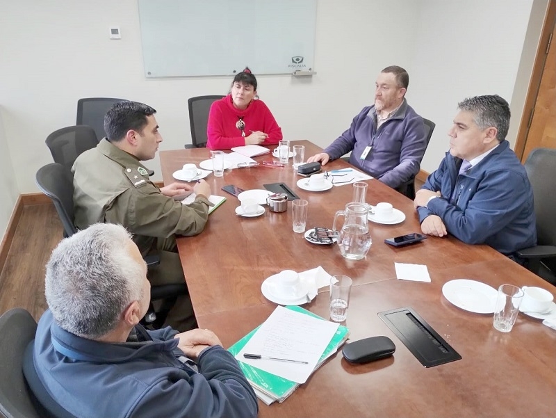 Tolerancia Cero establece Comisión Regional de Abigeato en el Maule previo a Fiestas Patrias