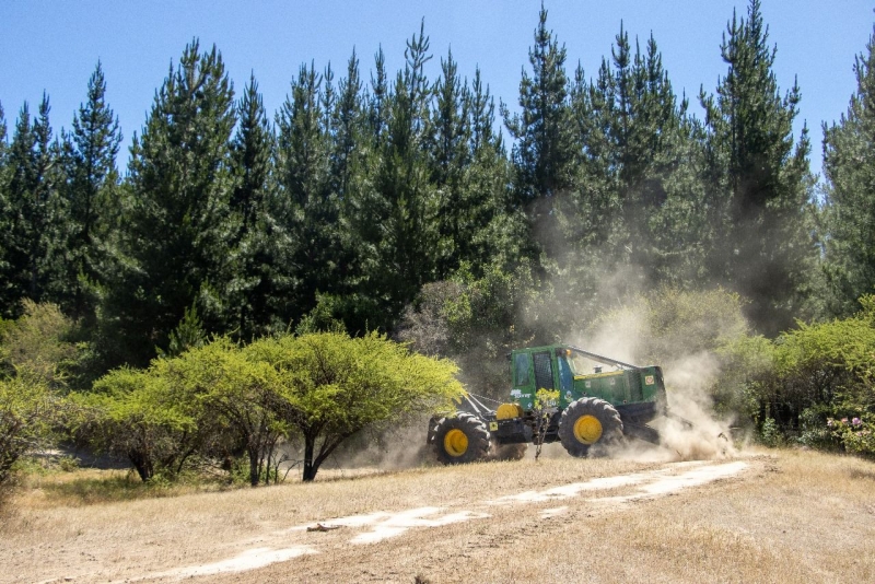 Conaf Maule implementó 25 km de cortafuegos en el sector de Nirivilo–Rastrojos de San Javier