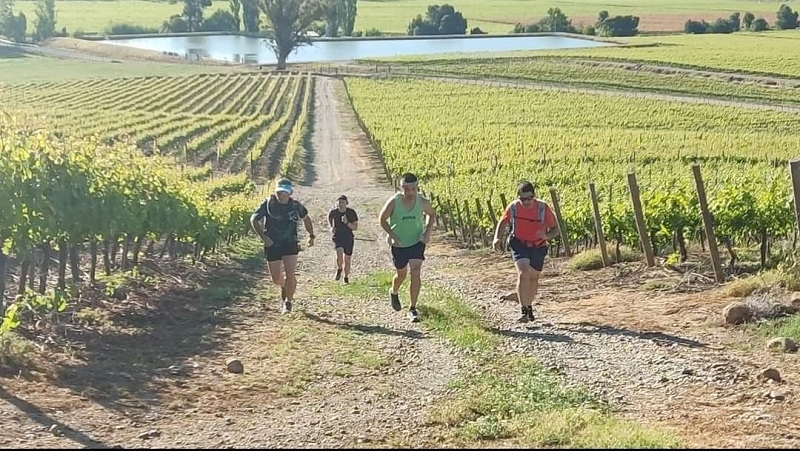 "Desafío entre viñedos" recorrerá el campo sanjavierino