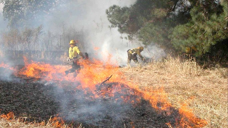 Detienen a acusado de ser pirómano que inició incendios forestales en Quilleco