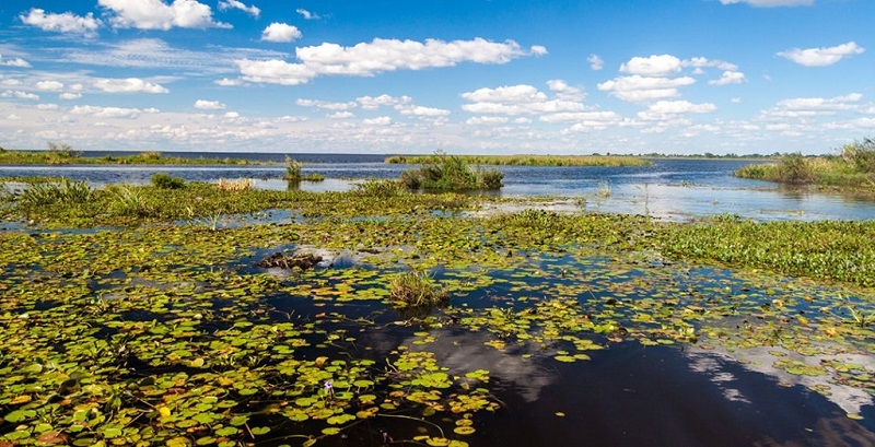 Seremi del Medio Ambiente destaca alto valor ecológico del complejo de Humedales Mataquito-Huenchullamí