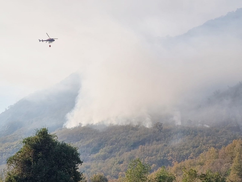 SENAPRED mantiene monitoreo de alerta amarilla para la comuna de Linares por incendio forestal